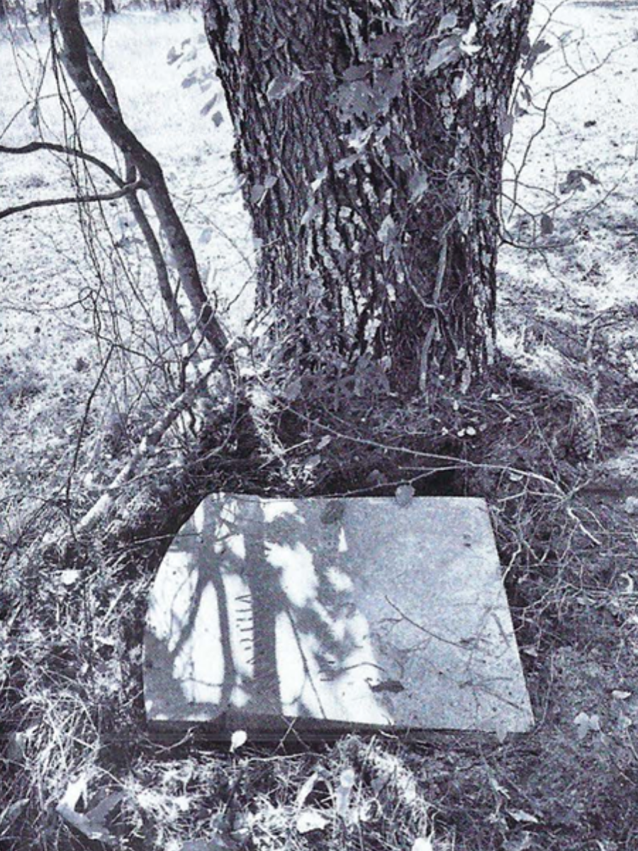 A black-and-white, high-contrast photograph showing a flat gravestone nestled at the base of a large tree.