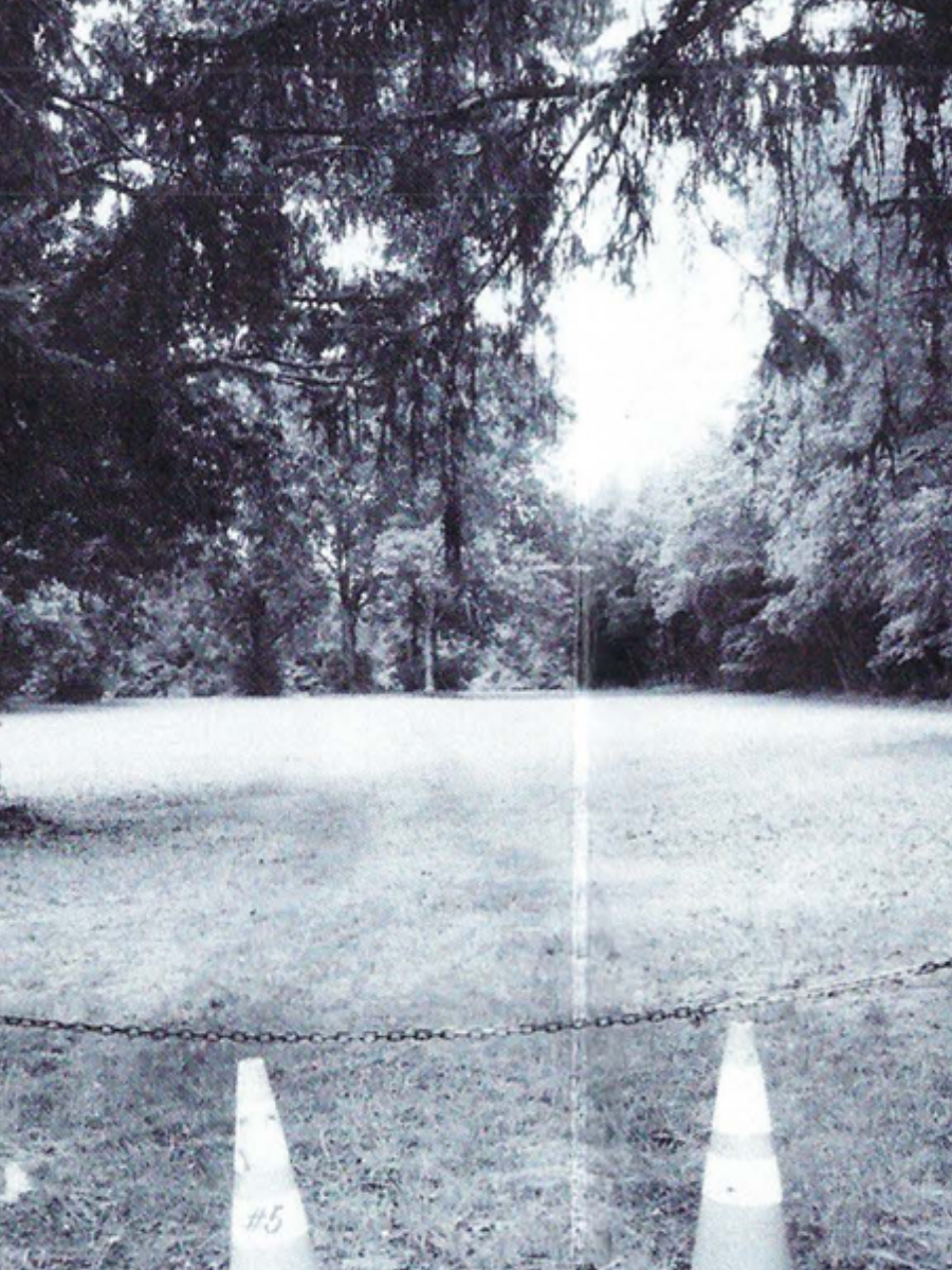Gemini said
A medium shot in black and white features an empty field and trees.
The field features a large, rectangular patch of grass centered in the middle and is bordered by a forest that lines the sides and background. The trees on the left are a little larger than the ones on the right.